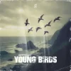 Pochette 2 Phaze - Young Birds 2 Phaze - Young Birds
