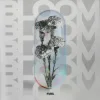 Pochette Samath - Bloom Samath - Bloom