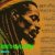 Pochette MASSIL IA - Roots of Fire