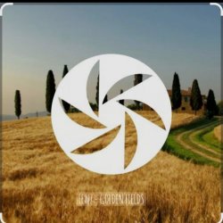 Pochette FEWZ - Golden Fields