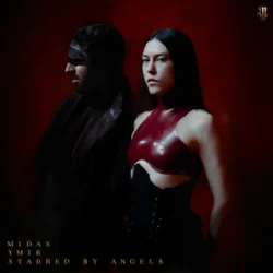 Pochette YMIR & Stabbed By Angels - Midas