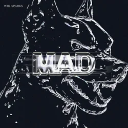 Pochette Will Sparks - Mad