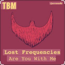 Pochette Lost Frequencies - Are You With Me