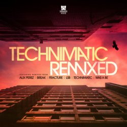 Pochette Technimatic - Everlasting (Mixed)