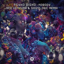 Pochette Psyko Disko - Nobody (Ace Ventura & Skizologic Remix)