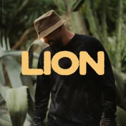 Pochette Gentleman - Lion