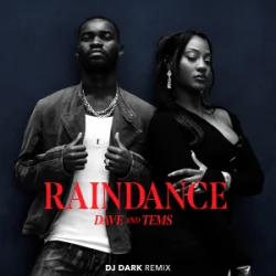 Pochette Dave & Tems - Raindance (Dj Dark Remix)
