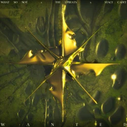 Pochette What So Not & The Upbeats - Wanted