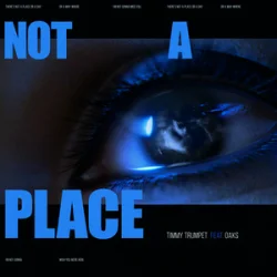 Pochette Timmy Trumpet & Oaks - Not A Place (feat. Oaks)
