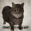Pochette DJ Cheaz - Effector DJ Cheaz - Effector