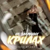 Pochette Ірина Шабан - На зламаних крилах Ірина Шабан - На зламаних крилах