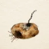 Pochette Sara Beth - Old Potatoes Sara Beth - Old Potatoes