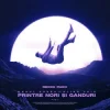 Pochette Raoul Russu & Alina Jais - Printre nori si ganduri (Jayraa Remix) Raoul Russu & Alina Jais - Printre nori si ganduri (Jayraa Remix)