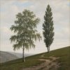 Pochette Сергей Видов - Берёза и тополь Сергей Видов - Берёза и тополь