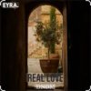 Pochette DNDM - Real Love DNDM - Real Love
