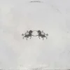 Pochette The Chainsmokers & Oaks - Echo The Chainsmokers & Oaks - Echo