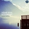 Pochette NE DALEN - Liquid Dream NE DALEN - Liquid Dream