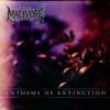 Pochette Malivore - Absolute Malivore - Absolute