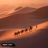 Pochette DEMER - My Pace DEMER - My Pace
