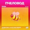 Pochette RASA - Пчеловод (Dobrynin & Alex Shik Radio Edit) RASA - Пчеловод (Dobrynin & Alex Shik Radio Edit)
