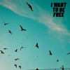 Pochette Roberto Pedoto - I Want To Be Free Roberto Pedoto - I Want To Be Free