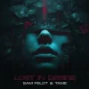 Pochette Sam Feldt & TAME - Lost In Desire Sam Feldt & TAME - Lost In Desire