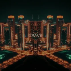 Pochette R3DN1K - Crave