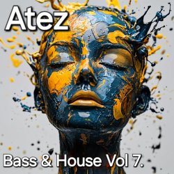Pochette Bass House Vol7.