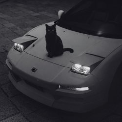 Pochette supwel - "not alone" (chill, wave vibe)