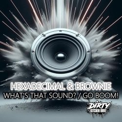 Pochette Hexadecimal & DJ Brownie - What's That Sound