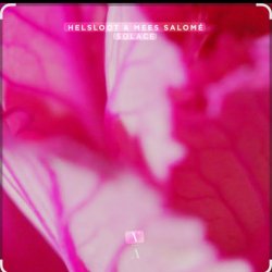 Pochette Helsloot & Mees Salome - Solace (Extended Mix)