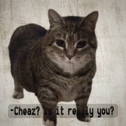Pochette DJ Cheaz - Effector