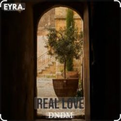 Pochette DNDM - Real Love