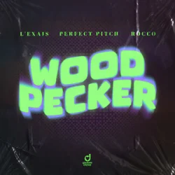 Pochette L'EXAIS & Perfect Pitch & Rocco - Woodpecker