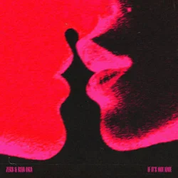 Pochette Zerb & Rita Ora - If It’s Not Love