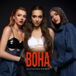 Pochette Mirami - Вона (Gvozdini Remix)
