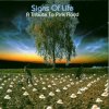 Pochette Sylvan - High Hopes Sylvan - High Hopes