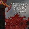 Pochette Stillborn Condition - Born of Bile Stillborn Condition - Born of Bile