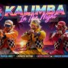 Kalimba in the night - Euro disco summer vibes