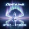 Pochette ViTaLiKuS - Душа в тишине ViTaLiKuS - Душа в тишине