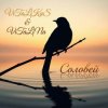 Pochette ViTaLiKuS - Соловей (Remix) ViTaLiKuS - Соловей (Remix)