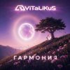 Pochette ViTaLiKuS - Гармония ViTaLiKuS - Гармония
