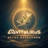 Pochette ViTaLiKuS - Ветка Палестины ViTaLiKuS - Ветка Палестины