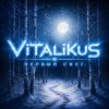 Pochette ViTaLiKuS - Первый снег ViTaLiKuS - Первый снег