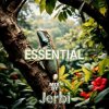 Pochette Jerbi - Fav Tracks Mix: ESSENTIAL || Uplifting Trance Mix Jerbi - Fav Tracks Mix: ESSENTIAL || Uplifting Trance Mix