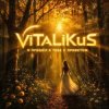 Pochette ViTaLiKuS - Я пришёл к тебе с приветом ViTaLiKuS - Я пришёл к тебе с приветом