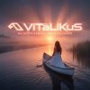 Pochette ViTaLiKuS - Мы встречались с тобой на закате ViTaLiKuS - Мы встречались с тобой на закате