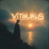 Pochette ViTaLiKuS - Юному поэту ViTaLiKuS - Юному поэту