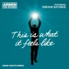 Armin van Buuren & Trevor Guthrie - This Is What It Feels Like (David Guetta Remix)