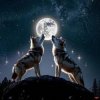 Pochette DJ Major & Jaykar - Brotherhood DJ Major & Jaykar - Brotherhood
